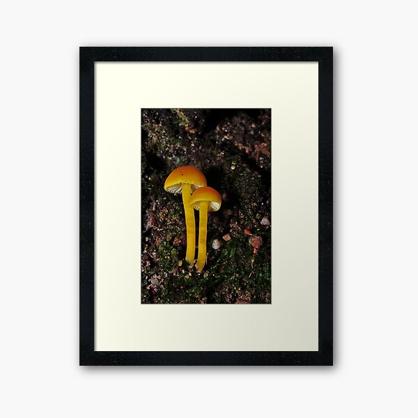 Item preview, Yellow with orange tint Hygrocybe designed and sold by Colin12.