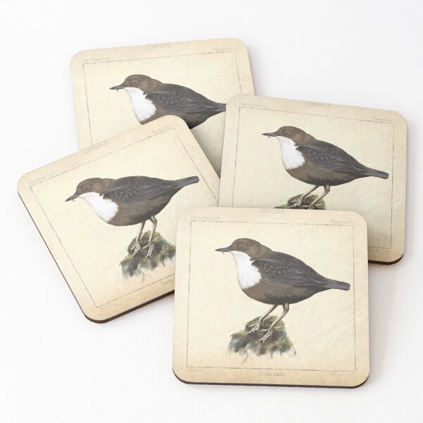Item preview, Dipper - scientific illustration designed and sold by red-fox-child.