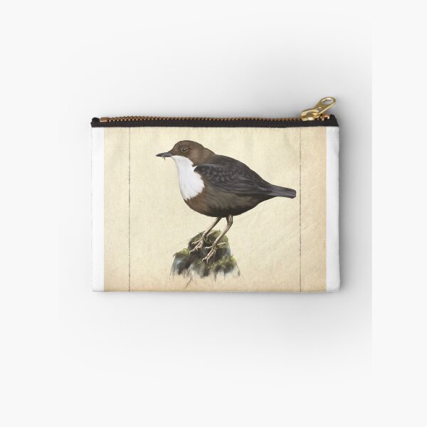 Item preview, Dipper - scientific illustration designed and sold by red-fox-child.