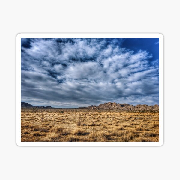 Item preview, Golden Field in Joshua Tree designed and sold by Kylejmcdonough.