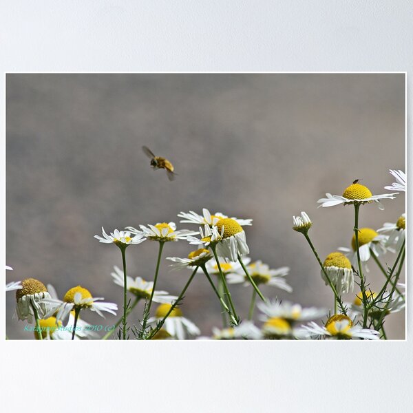 Item preview, Cleared for landing designed and sold by Katagram.