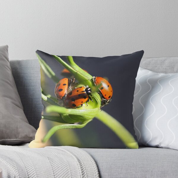 Item preview, Dog Pile...no, wait, Lady Bug Pile designed and sold by Katagram.