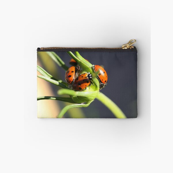Aperçu de l'œuvre Pile de chien ... non, attendez, Pile de Lady Bug créée et vendue par Katagram.