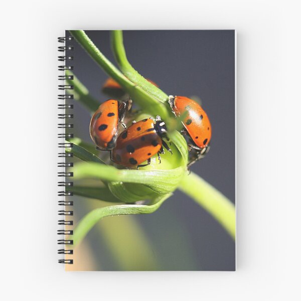 Item preview, Dog Pile...no, wait, Lady Bug Pile designed and sold by Katagram.
