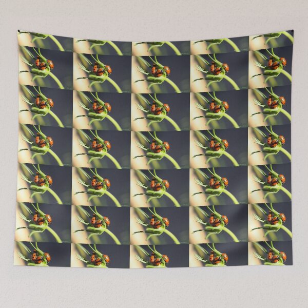 Item preview, Dog Pile...no, wait, Lady Bug Pile designed and sold by Katagram.