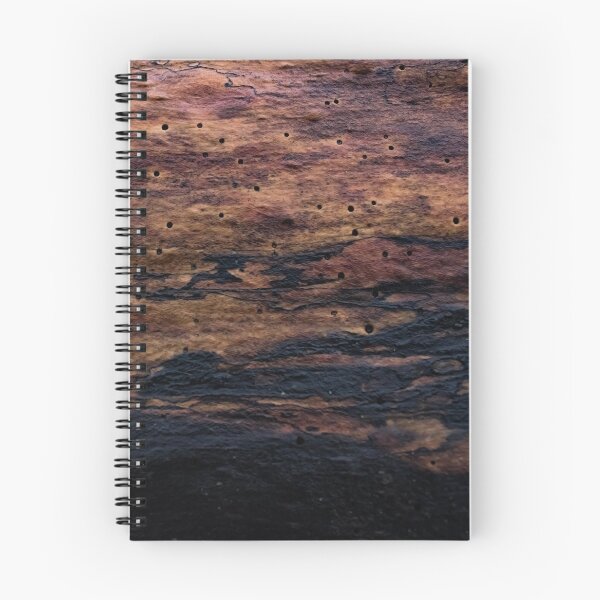 Aperçu de l'œuvre Journal avec des trous de termite créée et vendue par The Artful Finch.