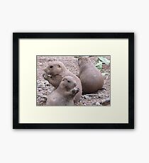 Prairie Prairie Prairie Dog Framed Print
