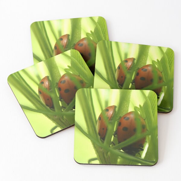 Item preview, Bottoms Up designed and sold by Katagram.
