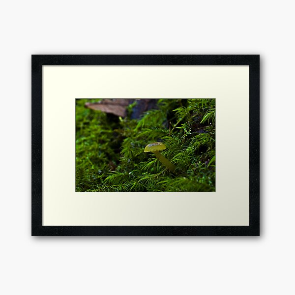 Item preview, Green Hygrocybe sp? designed and sold by Colin12.