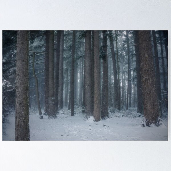 Item preview, Winter in the Forest designed and sold by kay135.
