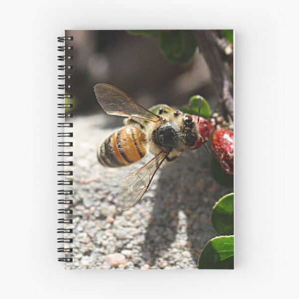 Item preview, Bee Sweetened designed and sold by Katagram.