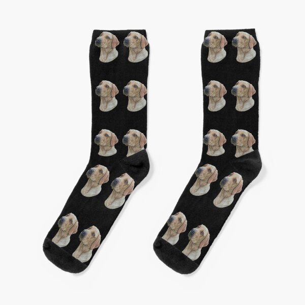 Willow the Fox Red Labrador Socks