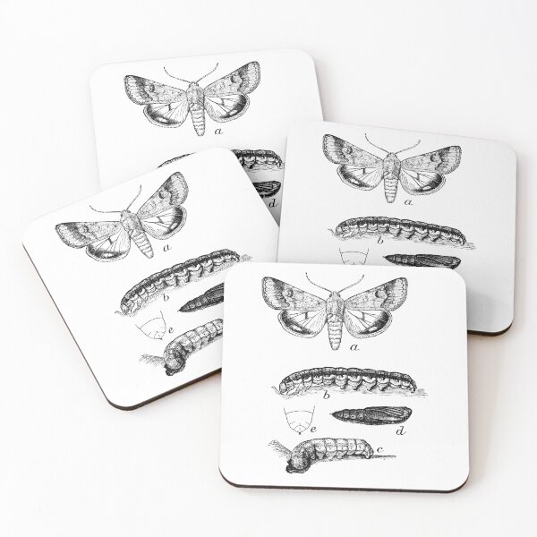 Item preview, Caterpillars and butterfly designed and sold by MamaO1.