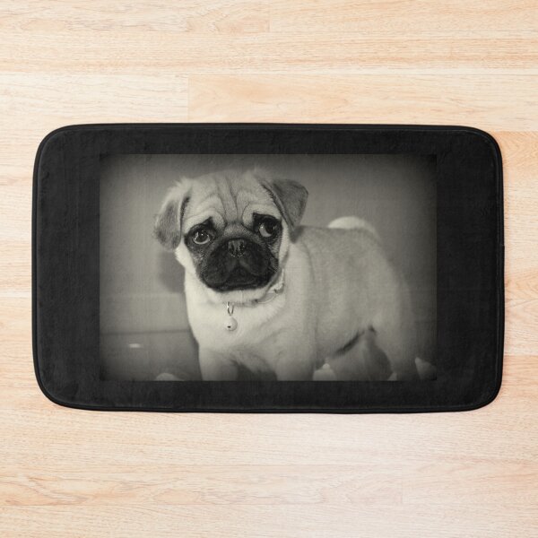 Item preview, Coco The Pug designed and sold by Evita.