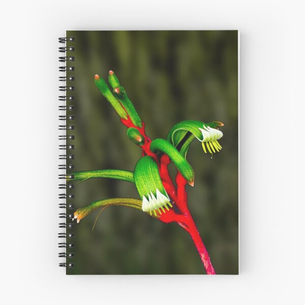 Item preview, Kangaroo Paw designed and sold by Charles Kosina.