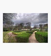 The Silent Garden - Oxford Thames Four Pillar Hotel Grounds Photographic Print