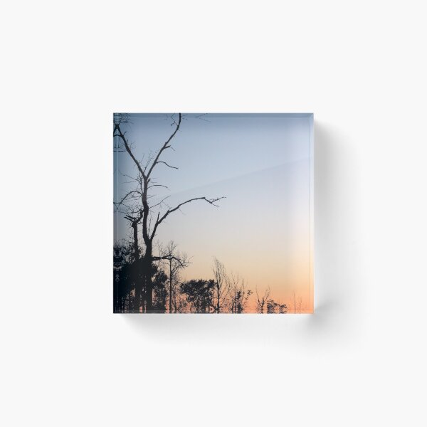 Item preview, Barren Trees at Sunset designed and sold by kristimb.