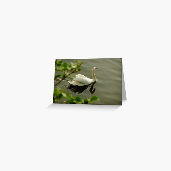 Serene sailing Greeting Card