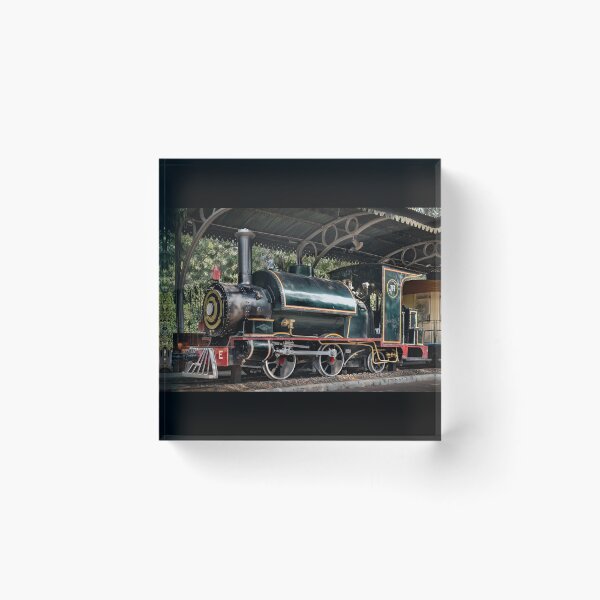Item preview, "IR (Rajputana Malwa Rlwy) Steam Locomotive No. 207 - New Delhi National Rail Museum, India" designed and sold by Glen Allison.