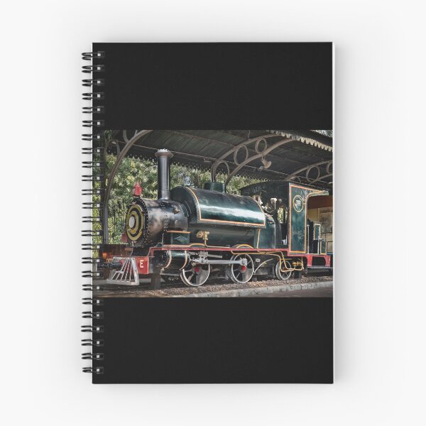 Item preview, "IR (Rajputana Malwa Rlwy) Steam Locomotive No. 207 - New Delhi National Rail Museum, India" designed and sold by Glen Allison.