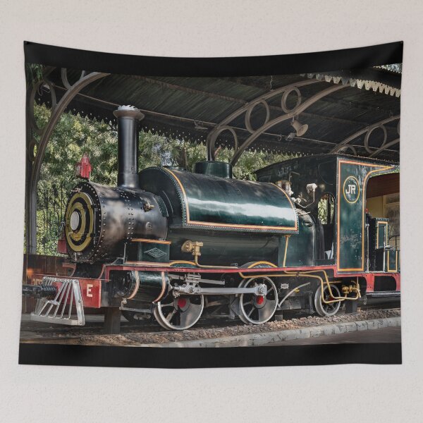 Item preview, "IR (Rajputana Malwa Rlwy) Steam Locomotive No. 207 - New Delhi National Rail Museum, India" designed and sold by Glen Allison.