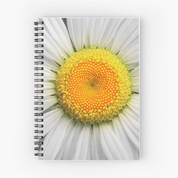 Item preview, A Daisy designed and sold by Jean Gregory Evans.