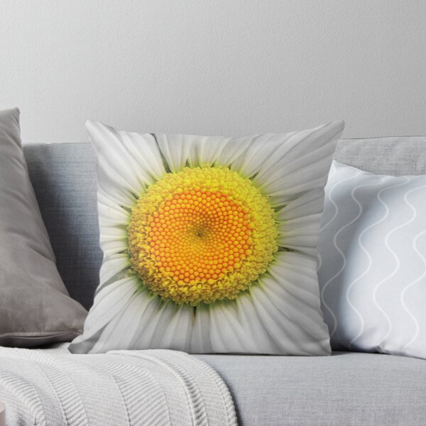 Item preview, A Daisy designed and sold by Jean Gregory Evans.
