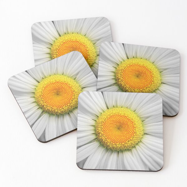 Item preview, A Daisy designed and sold by Jean Gregory Evans.