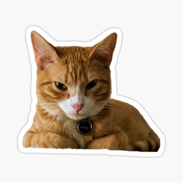 Angry Sarge Sticker