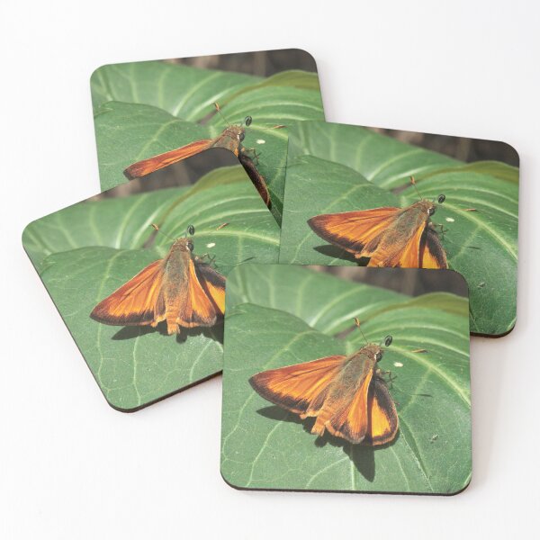 Item preview, 505 Skimmer Moth designed and sold by ptosis.