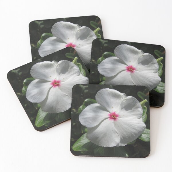 Item preview, White flower designed and sold by Katkalakosky.