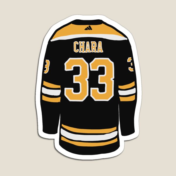 Boston 617 Strong Bruins Style Print Magnet