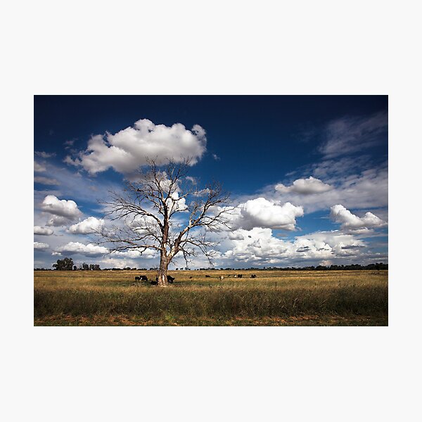 Item preview, Pastoral designed and sold by Downunder Views.