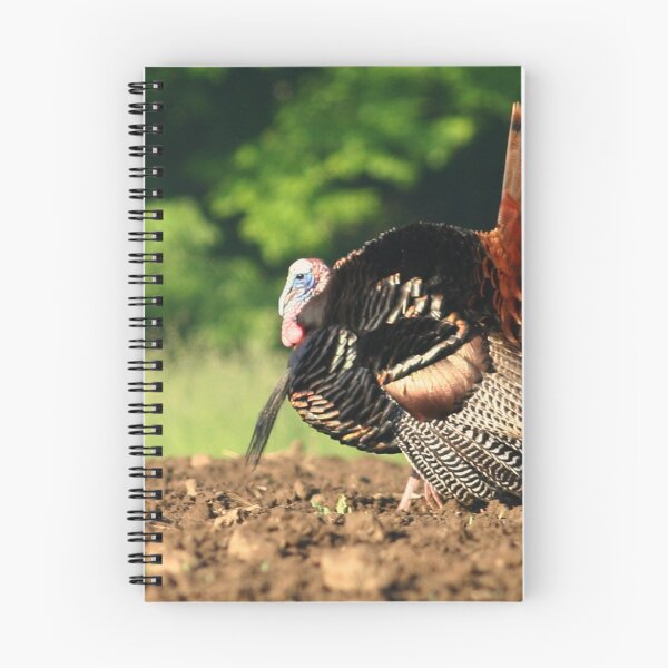 Item preview, Wild Tom Turkey designed and sold by Enola Gay Wagner.