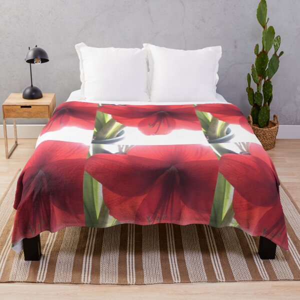 Item preview, Translucent Amaryllis designed and sold by Amanda1775.