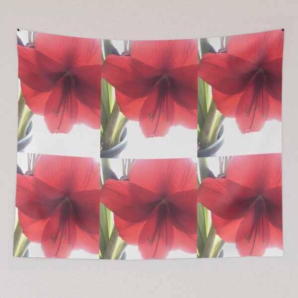 Item preview, Translucent Amaryllis designed and sold by Amanda1775.