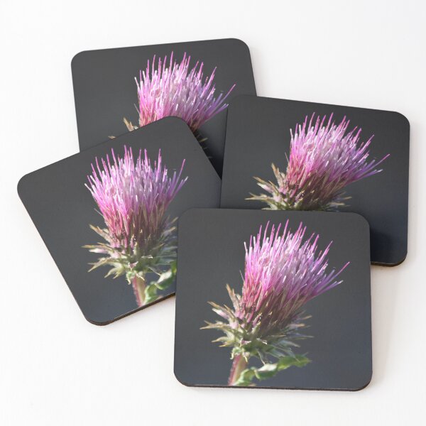 Item preview, Anderson's Thistle in the Evening Light designed and sold by Tahoe Trail Guide.