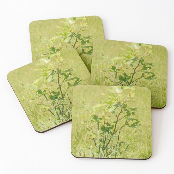 Item preview, ibs tulip tree designed and sold by pcfyi.
