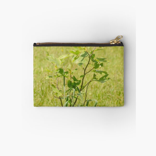 Item preview, ibs tulip tree designed and sold by pcfyi.