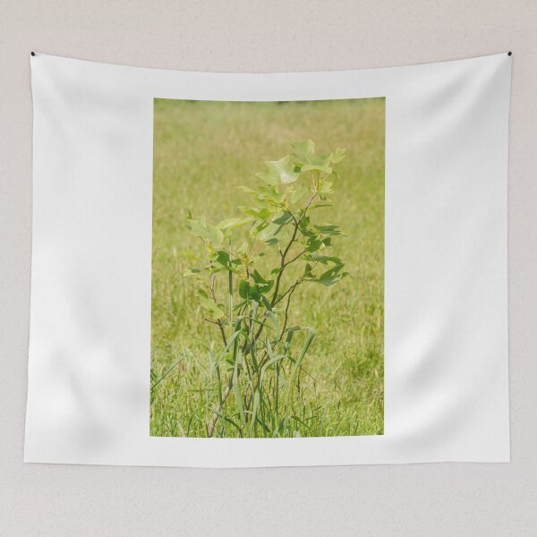 Item preview, ibs tulip tree designed and sold by pcfyi.