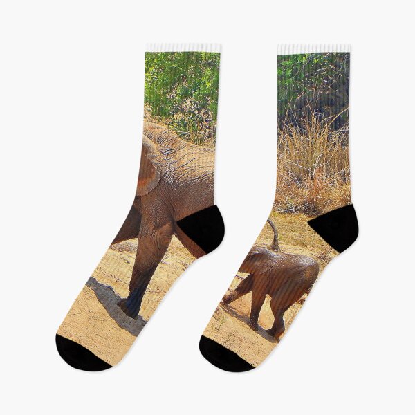 Item preview, Baby elephant following its mother, South Africa designed and sold by FranWest.