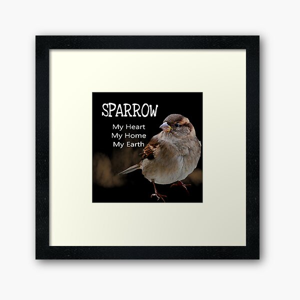 Sparrow Symbolism Framed Art Print