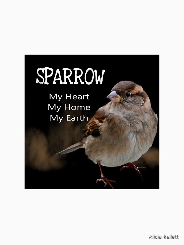 Sparrow Symbolism by Alicia-kellett