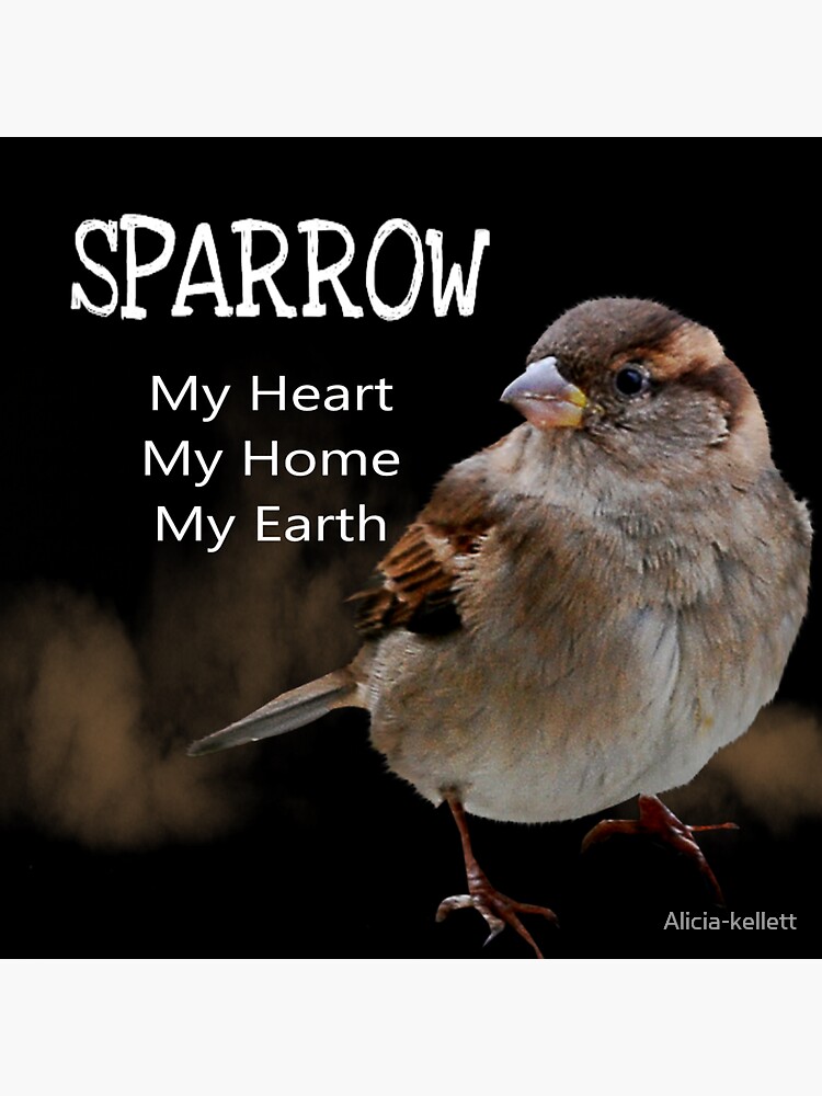 Thumbnail 3 of 3, Sticker, Sparrow Symbolism designed and sold by Alicia-kellett.