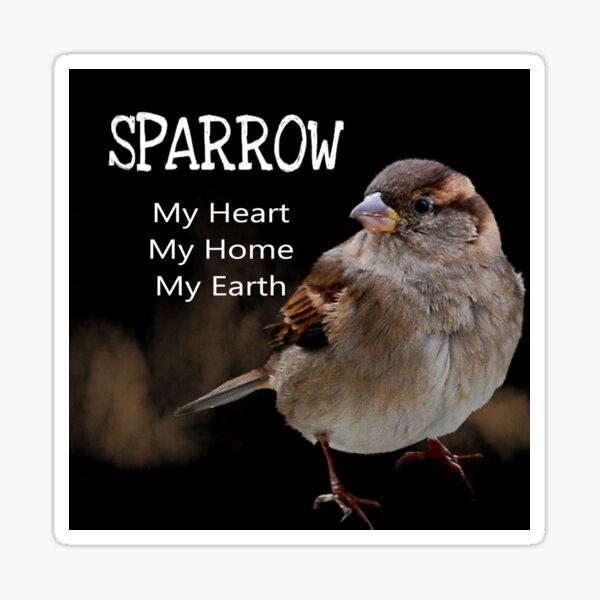 Sparrow Symbolism Sticker