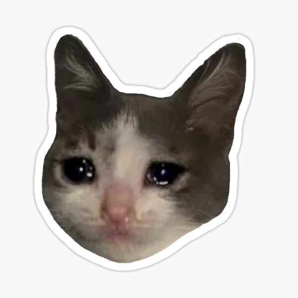 crying cat meme Sticker.