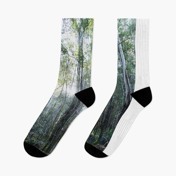 Item preview, Filtered sunlight through the Tall Trees - Mt Field National Park designed and sold by imaginethis.