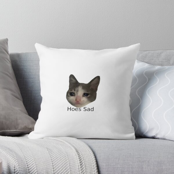 Coussins Sur Le Theme Meme Chat Qui Pleure Redbubble