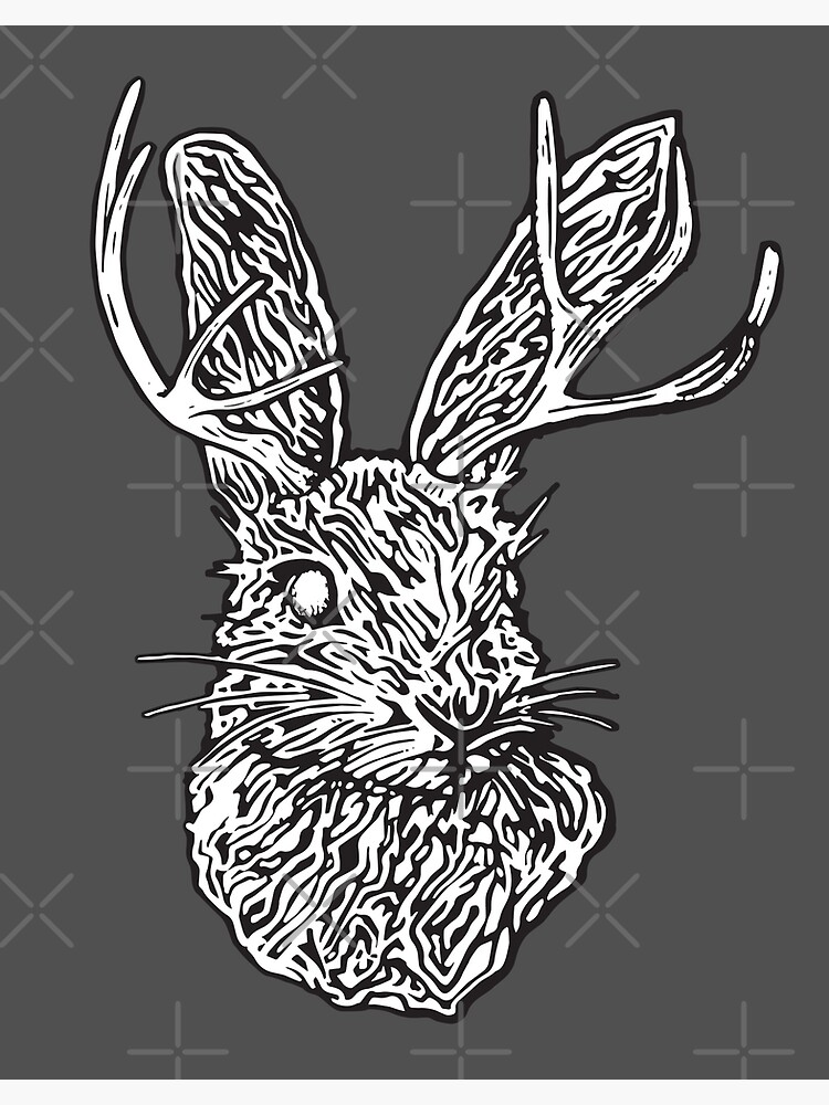 Black and White Jackalope shops