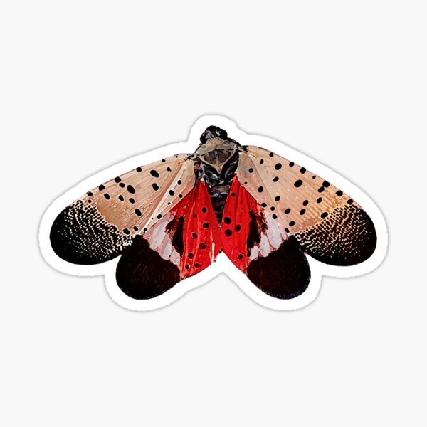 Item preview, Spotted Lanternfly designed and sold by WanderingMogwai.